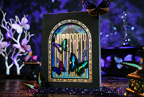 [TCC] 버터플라이 모르포 콜렉터 박스세트 (길디드)